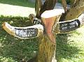 2007 07 23 BALI 003